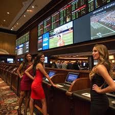 Antarmuka taruhan Speed Baccarat qq7997